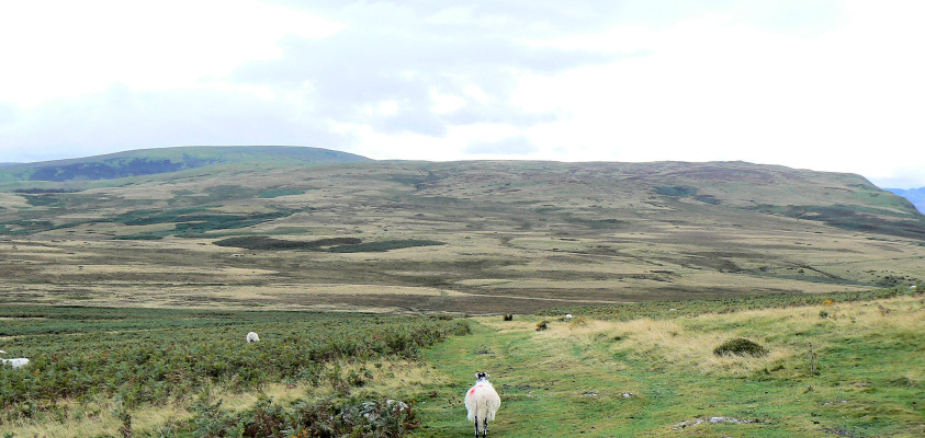 Loadpot Hill Loadpot Hill